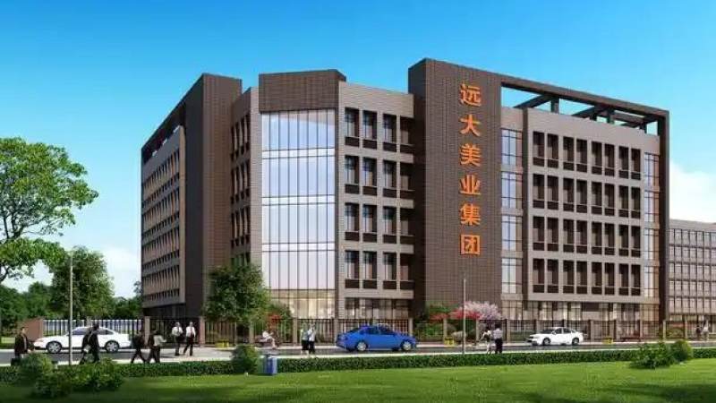 篮球分析模型解释性为何成为同行讨论焦点